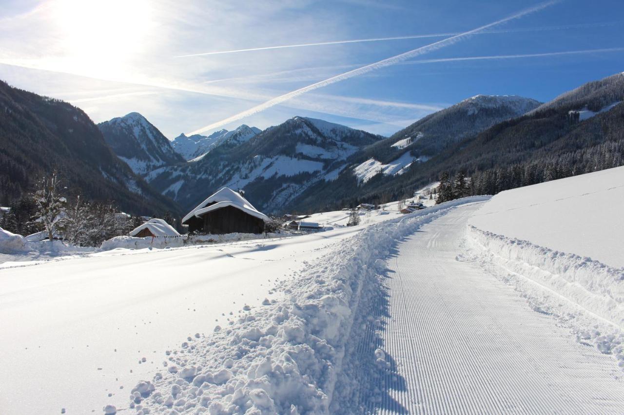 Haus Lorenz Schladming Extérieur photo
